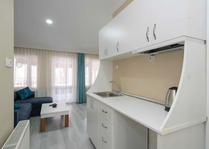 Hotel Bicer Estambul